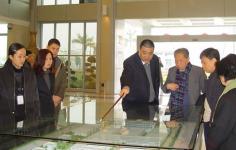 陳可冀院士考察康美藥業(yè)