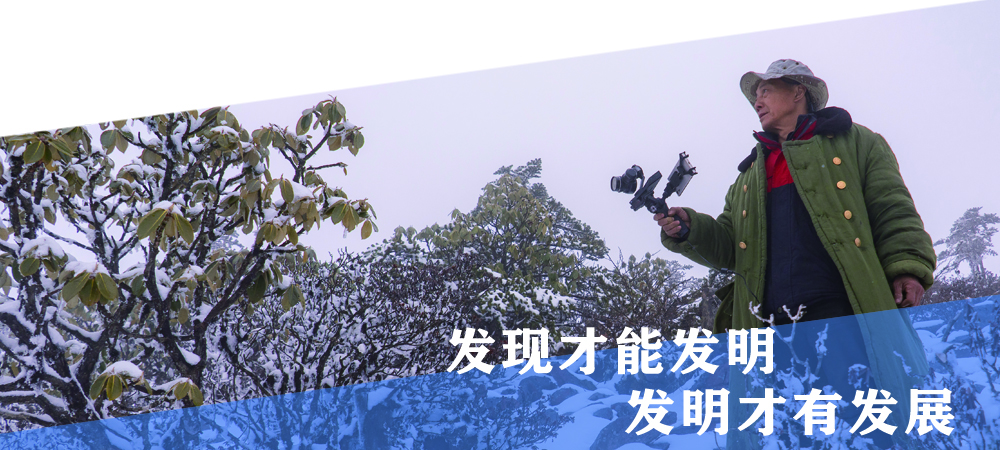 職業(yè)發(fā)展