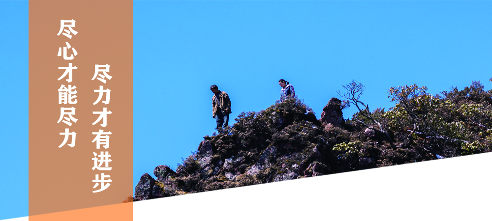 環(huán)境信息